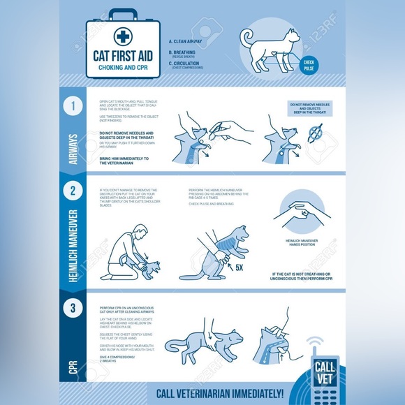 $2 Heart and paw print stainless steel stud earrings. New black. $2 if b… - Picture 15 of 16